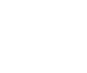 lithos pos online sales integrated pos
