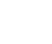 lithos pos integrated online ordering